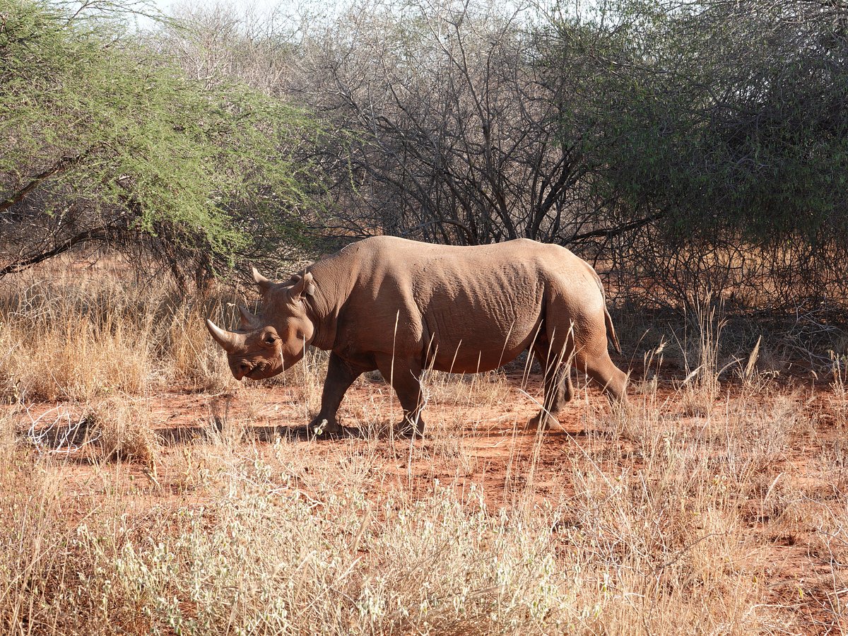 Mkomazi National Park